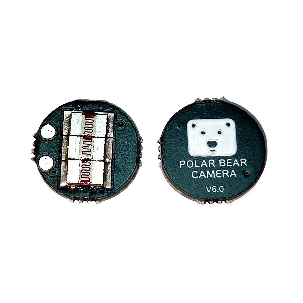 polarbearcamera.com