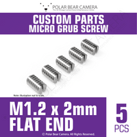 Grub Set Screw M1.2 x 2mm FLAT END (Silver)