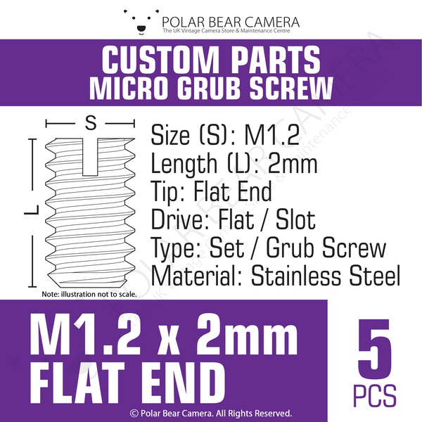 Grub Set Screw M1.2 x 2mm FLAT END (Silver)